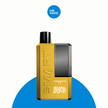 IVG Smart 5500 Puff Disposable Vape – Pineapple Ice official approved product image | OB Vape