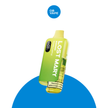 Lost Mary BM6000 disposable vape Double Apple