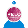 VELO Nicotine Pouches